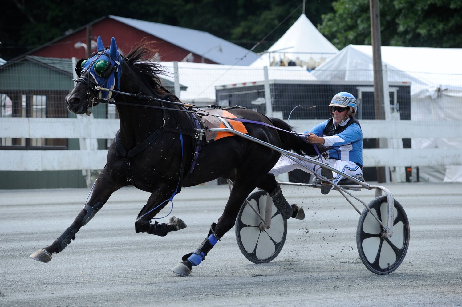 In the Al Perkins Memorial Free for All Trot, Drew Chellis drove Papi Hanover to a 2nd place finish.